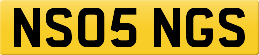 NS05NGS